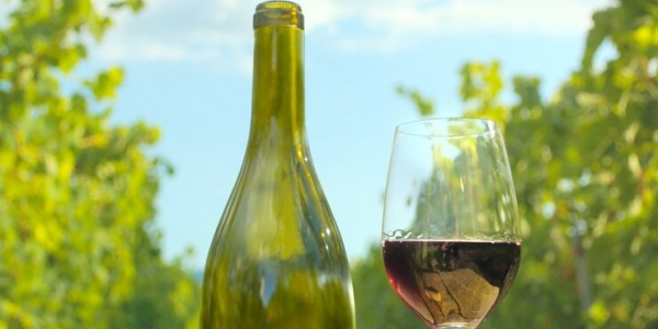  ¿Qué son y por qué deberías elegir un vino biodinámico?