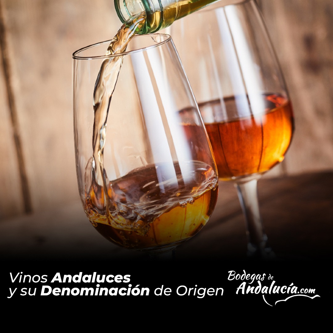 Vinos Andaluces y su Denominación de Origen