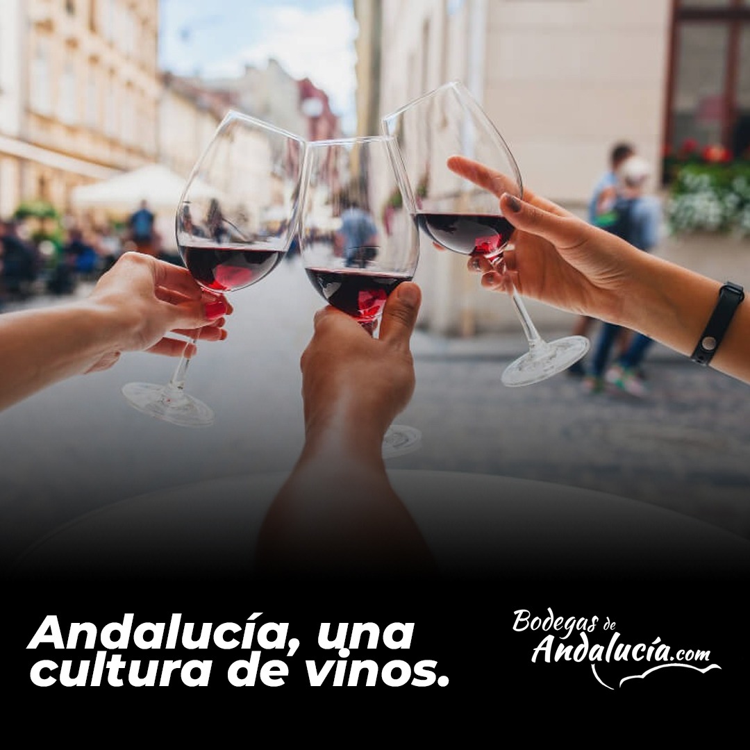Andalucía, una cultura de vinos.